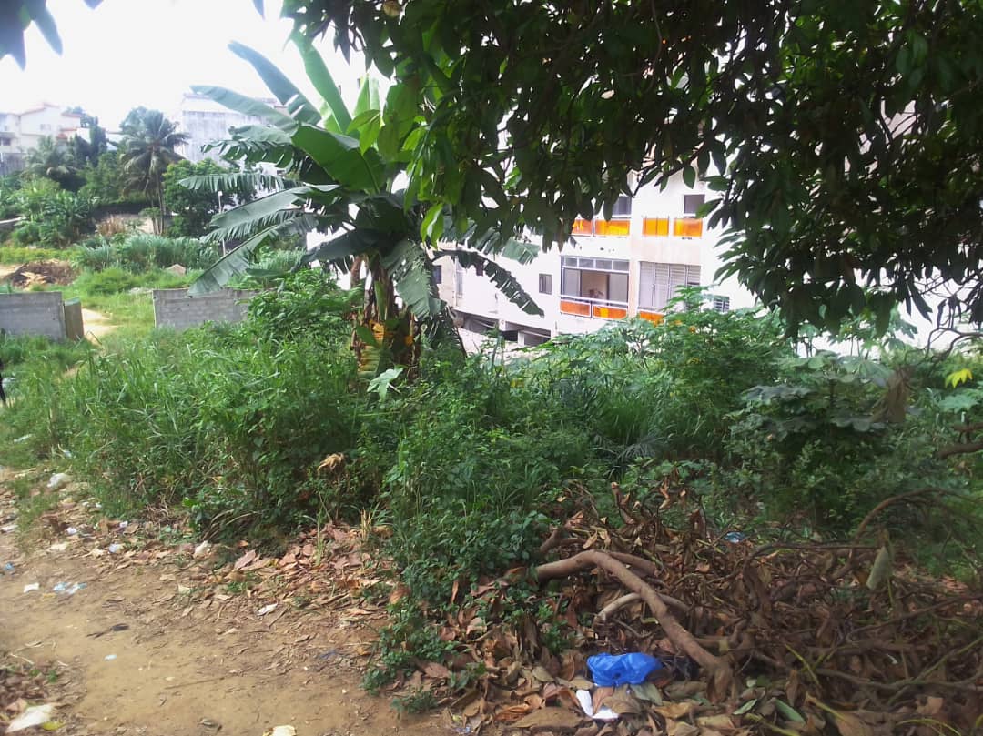 Terrain clôture 2000m2 ACD en bordure en vente Angré 7ème tranche cascade