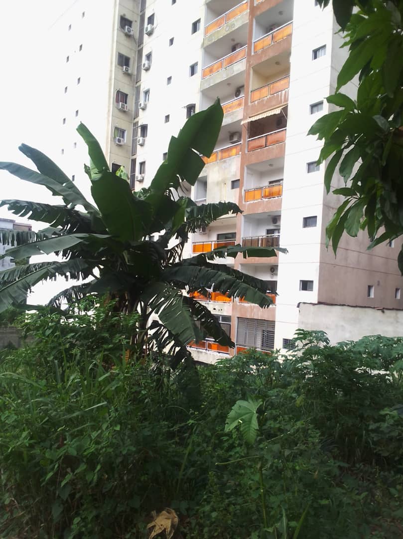 Terrain clôture 2000m2 ACD en bordure en vente Angré 7ème tranche cascade