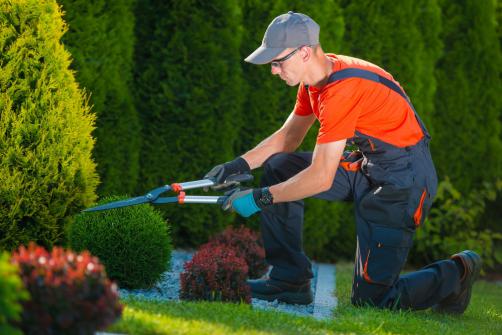 TECHNICIEN DE SURFACE TECHNICIEN DE SURFACE
