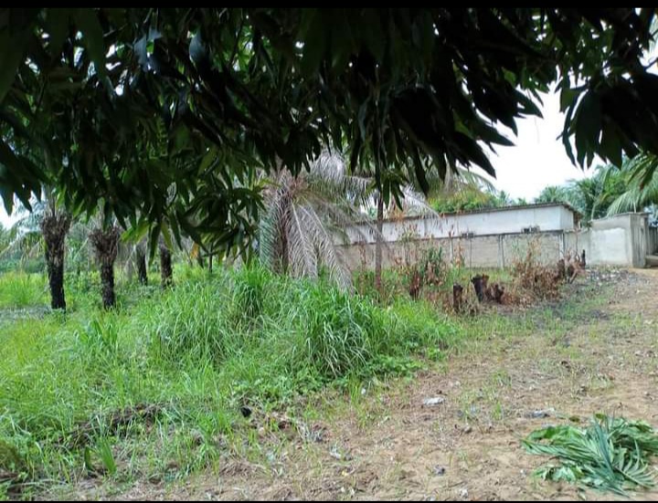 Terrain à kpéssi (Agbodrafo)
