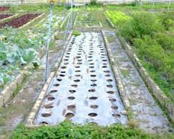 toile de paillage plastique biodégradable