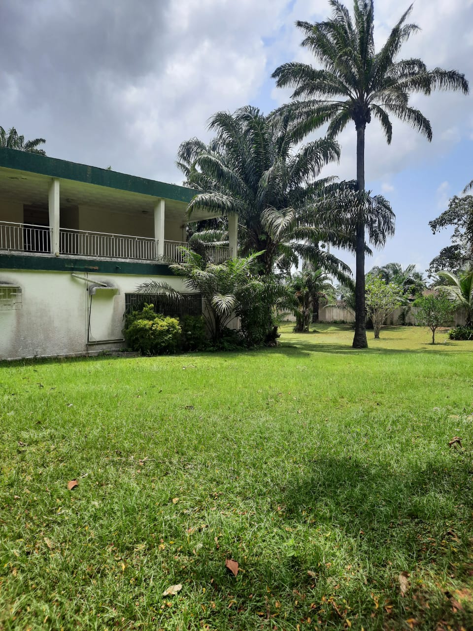 Cocody ambassade, terrain de 3738 m2 en vente en face de la résidence de l'ambassadeur du Ghana