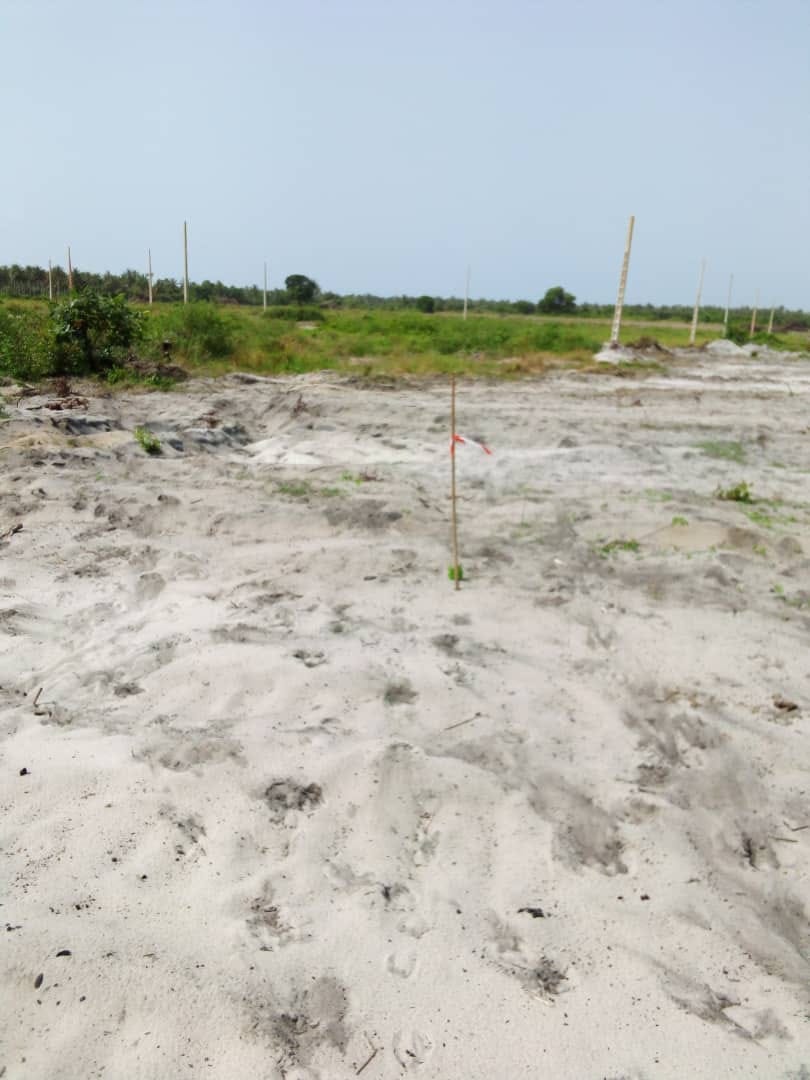 VENTE DE TERRAINS ET MAISONS