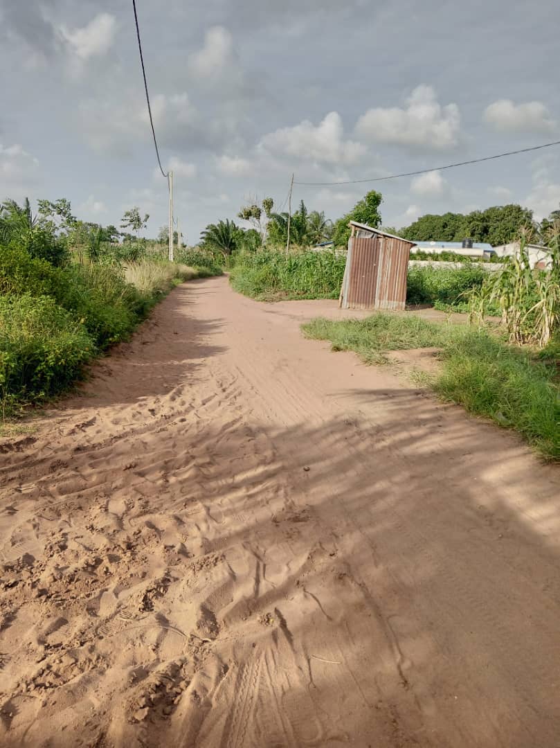 VENTE DE 10 *PARCELLES 350M² CHACUNE AVEC TITRE FONCIER SÉCURISÉES À HÊVIÉ ALASSACOMÈ ABOMEY-CALAVI VENTE DE 10 *PARCELLES 350M² CHACUNE AVEC TITRE FONCIER SÉCURISÉES À HÊVIÉ ALASSACOMÈ ABOMEY-CALAVI