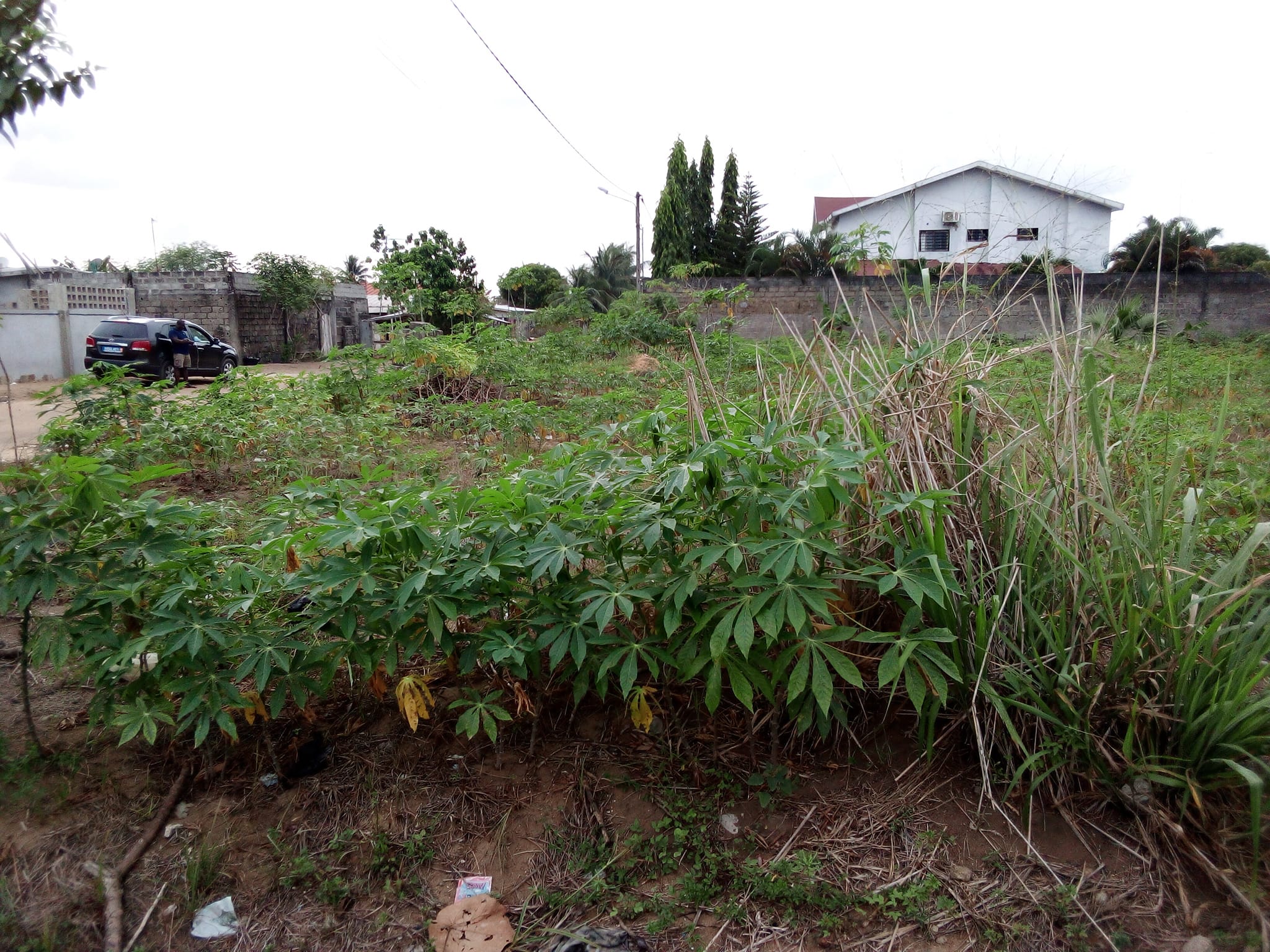 VENTE DE TERRAIN ET MAISON