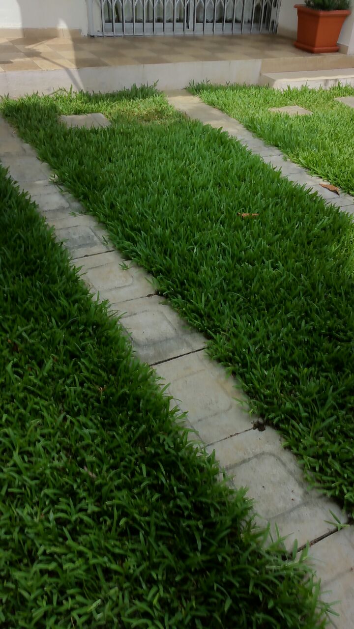 Vallon vers Paul, duplex 8 pièces, grand jardin, garage à louer bureau ou habitation