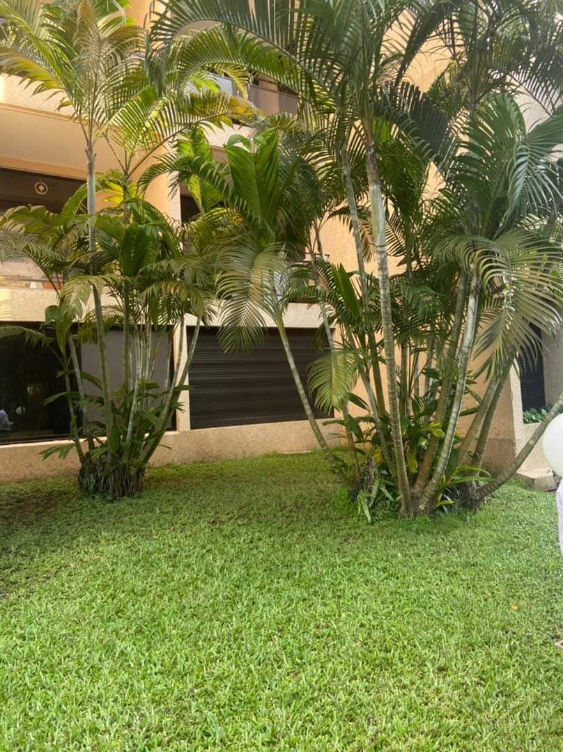 Cocody cannebiere : Joli appartement 3 pièces, 2 balcons ,ascenseur, piscine à louer