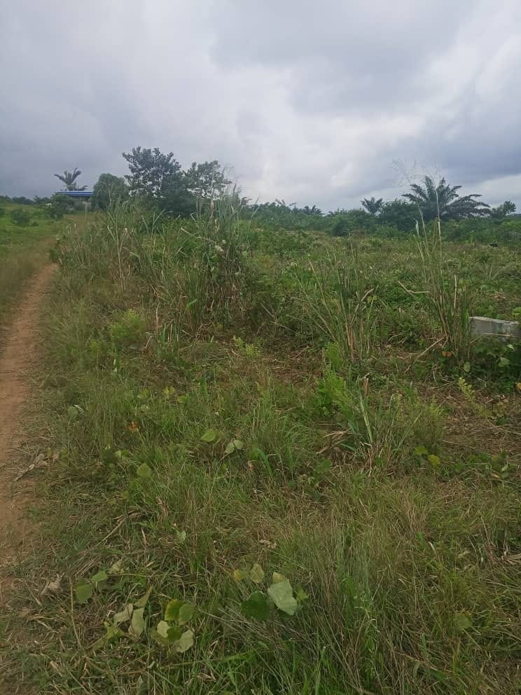 LOTISSEMENT ET VENTE DE TERRAIN