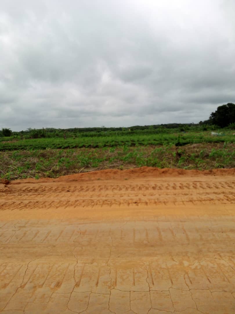 VENTE DE TERRAIN ET LOTISSEMENT