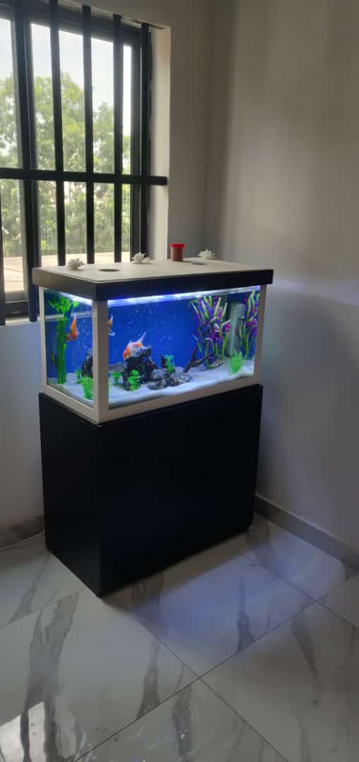 AQUARIUM AQUARIUM