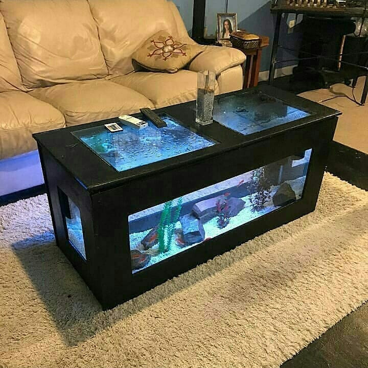 AQUARIUM AQUARIUM