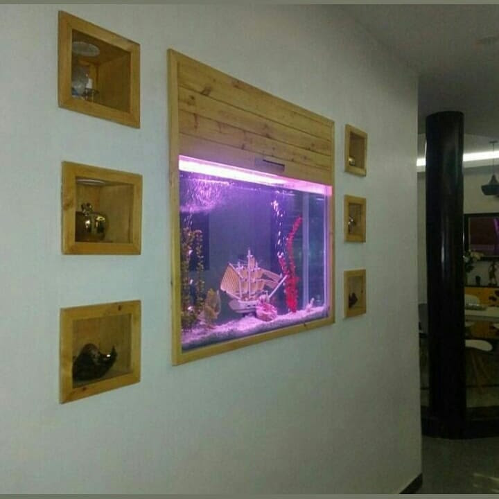 AQUARIUM AQUARIUM