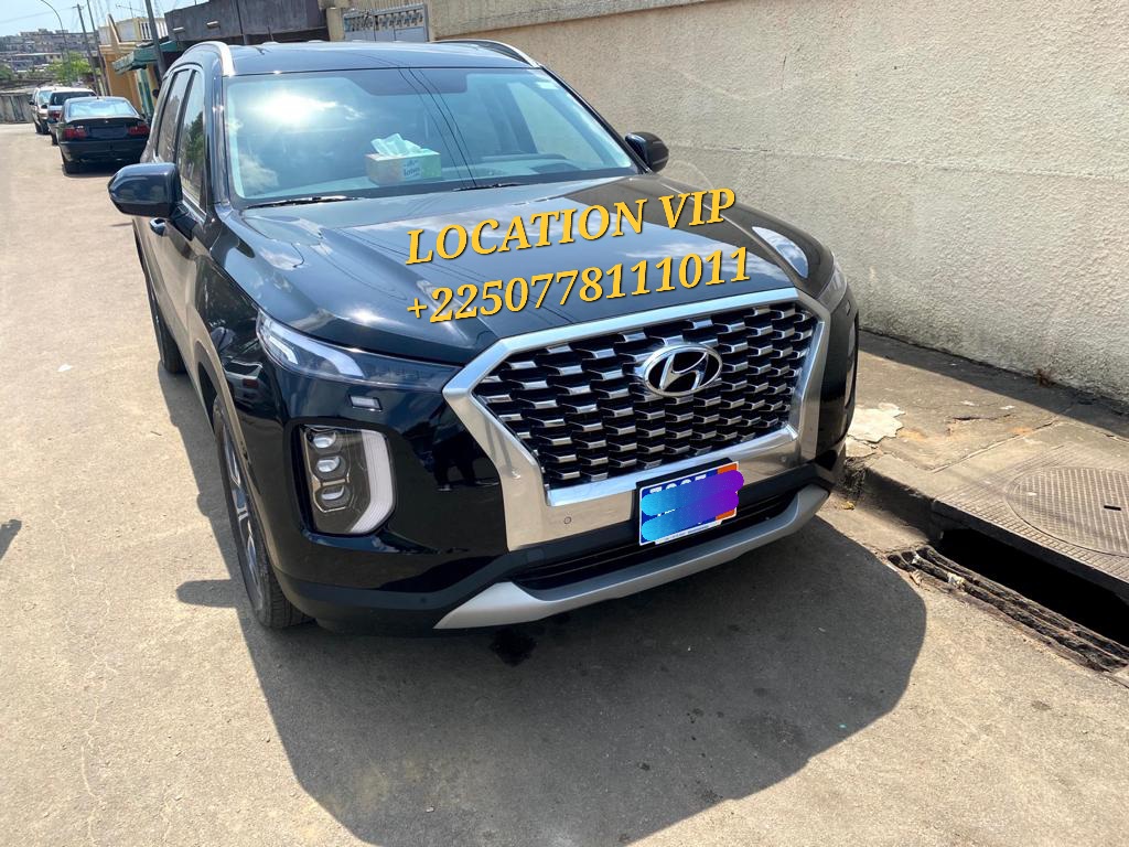 Location Hyundai- Palisade- 4x4