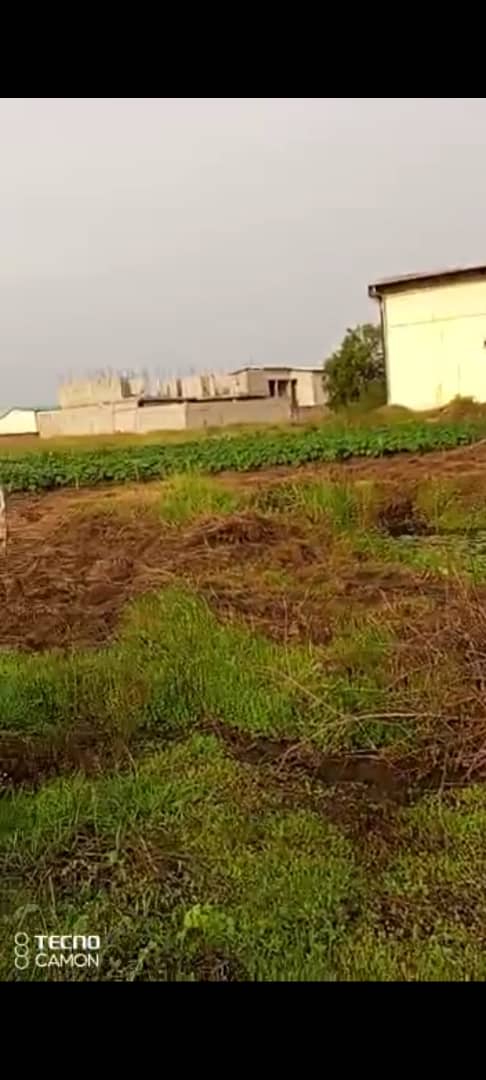 VENTE À GRAND-BASSAM CHINA MALL : UN BEAU TERRAIN PLAT