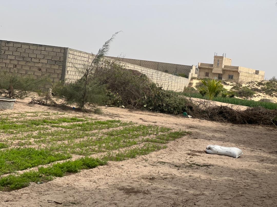 vente de terrains à lac rose