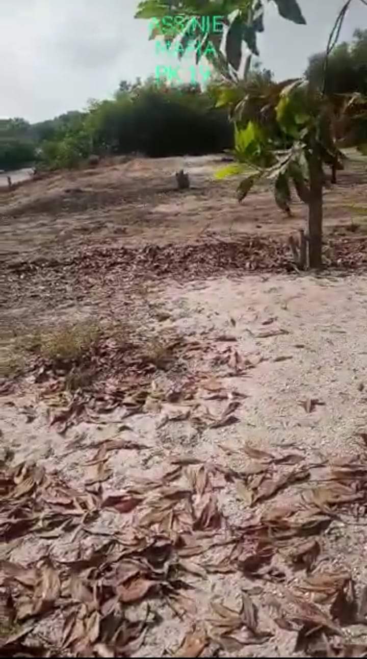 VENTE À ASSINIE MAFIA KM 19 : UN TERRAIN AU BORD DE L'EAU