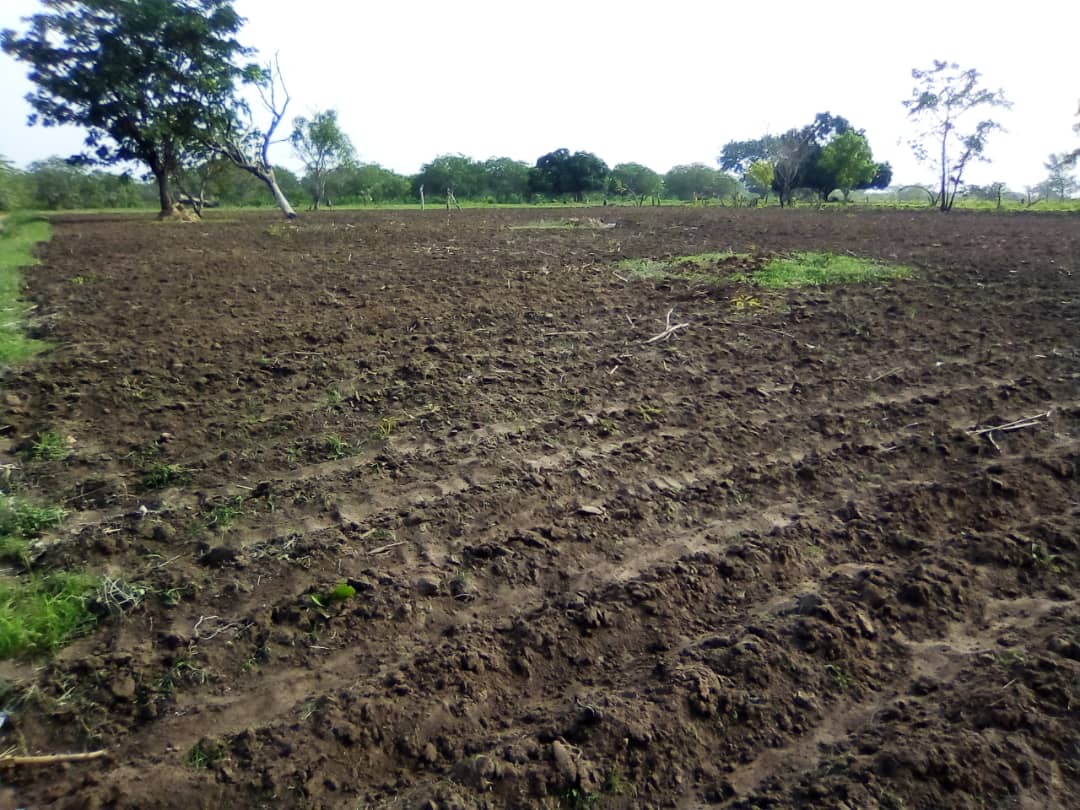 HECTARES AGRICOLE A SAVALOU