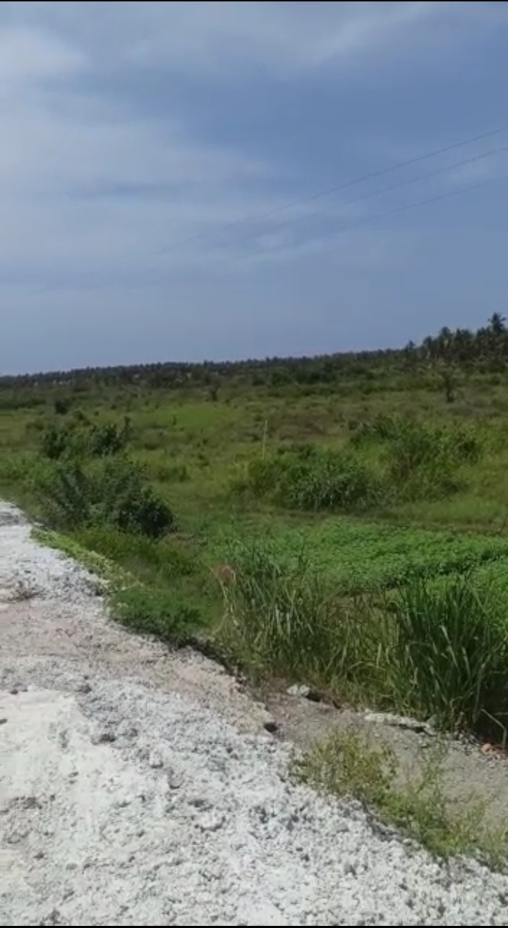 VENTE À GRAND-BASSAM MONDOUKOU : UNE PARCELLE DE 3 HECTARES.