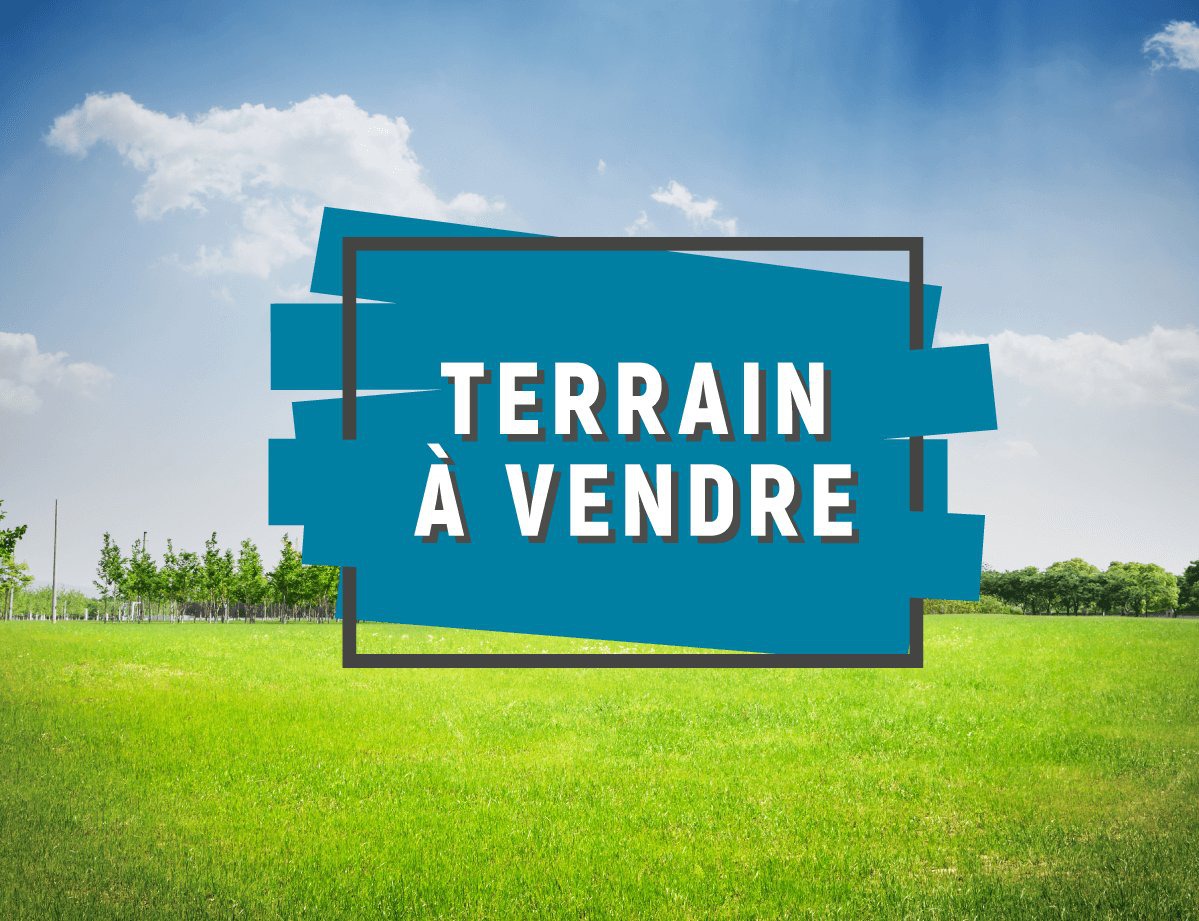 VENTE À ASSINIE MAFIA : UN BEAU TERRAIN VENTE À ASSINIE MAFIA : UN BEAU TERRAIN