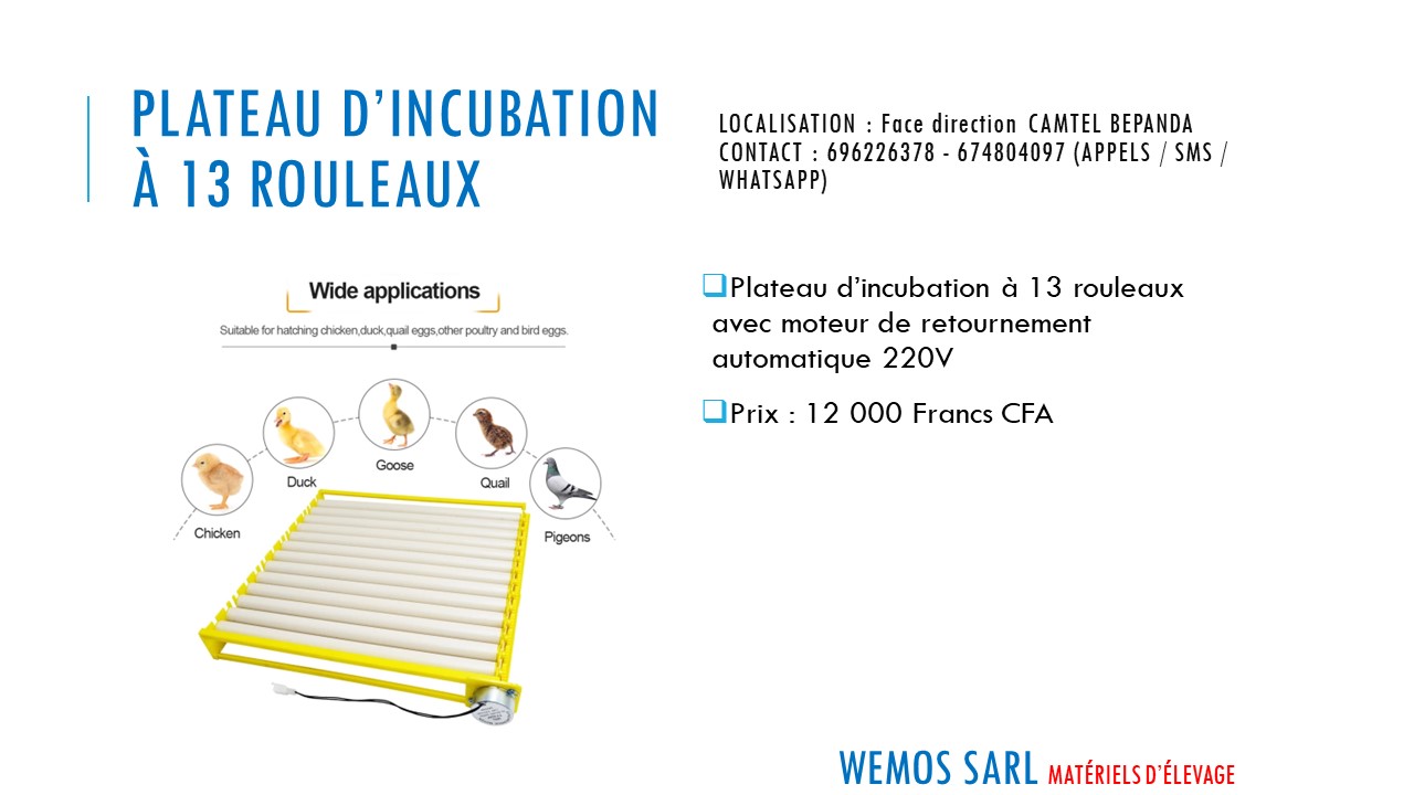 pipette pour porc lapin et autres diponible
