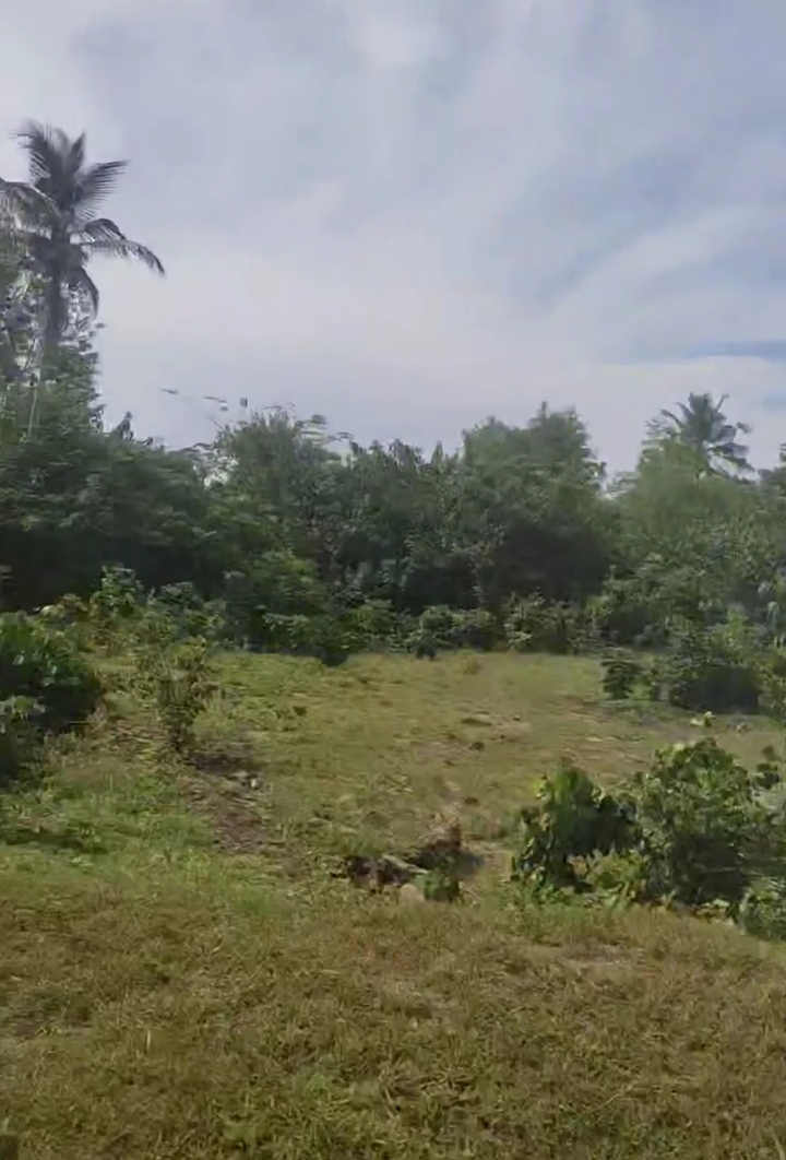 VENTE À JACQUEVILLE : PLUSSIEURS LOTS DE TERRAINS APPROUVÉS