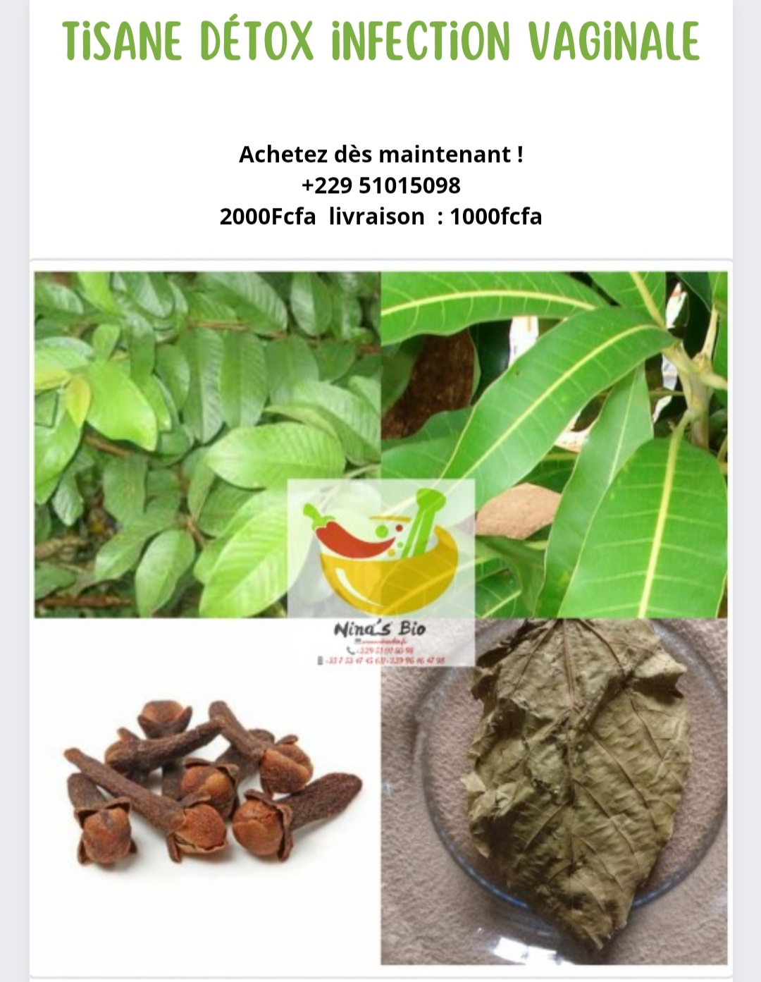 Tisane contre infection