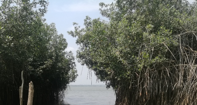 4 Parcelles sur île à Aïdo-Ouidah dans Djègbadji non loin de Casa Del Papa à vendre