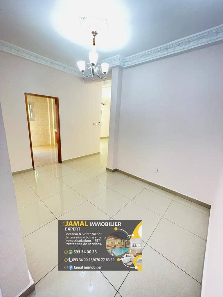 appartement haut standing à louer à Makepe