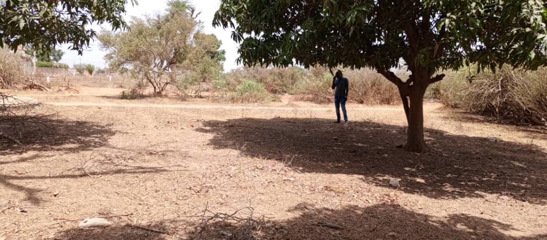 terrain de 450 metres carres a saly