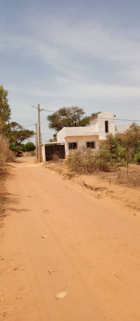 terrain de 450 metres carres a saly
