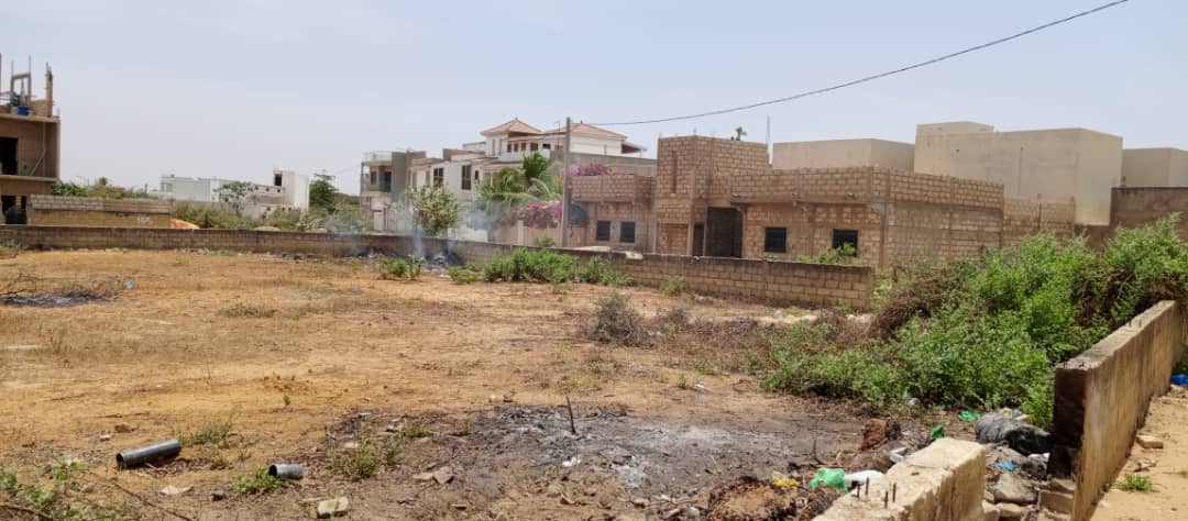 terrainde 600 metres carres a saly