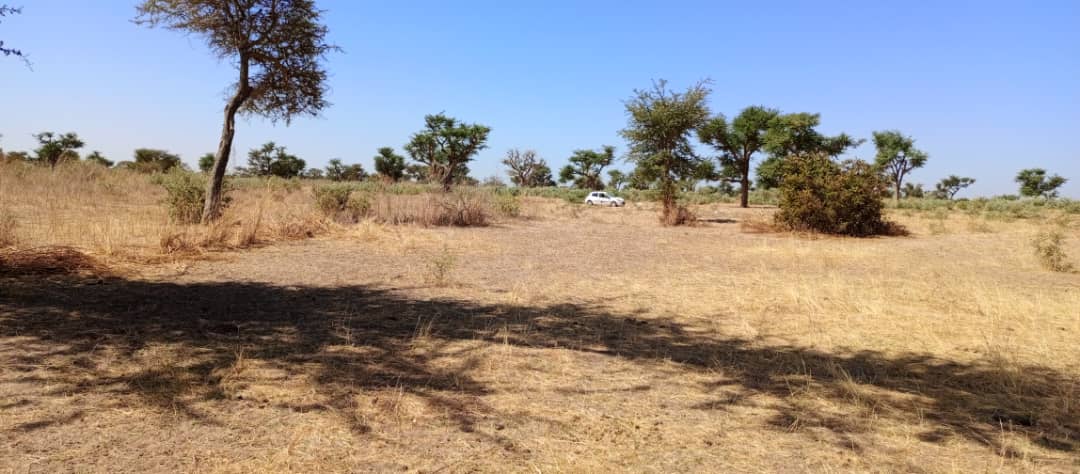 terrain de 1200 metres carres a malicounda