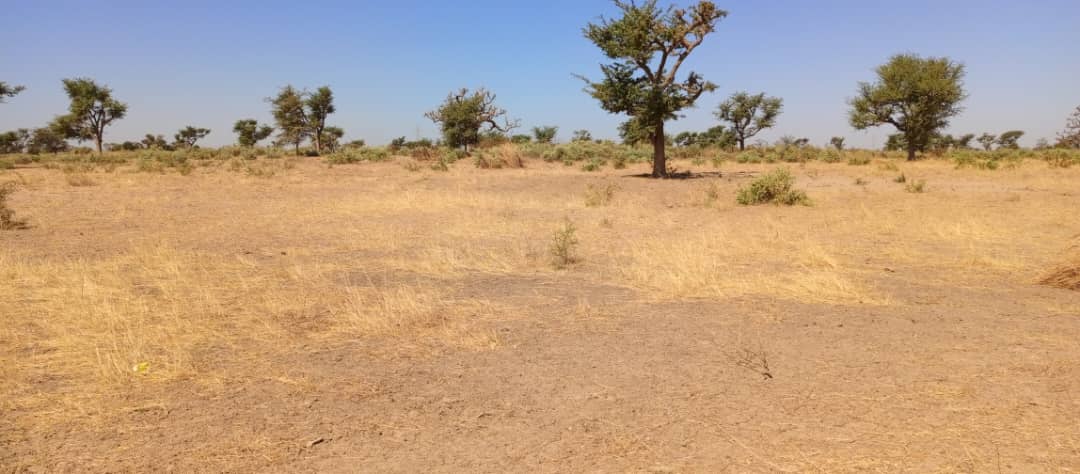 terrain de 1200 metres carres a malicounda