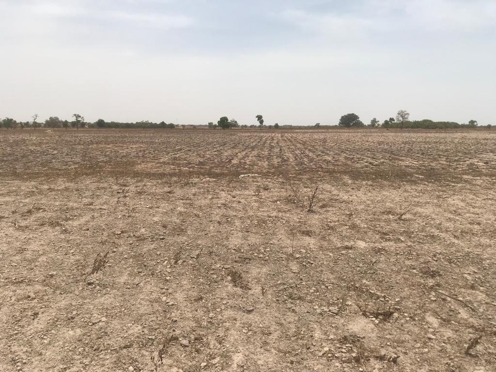 Terrain Agricole de 6625 m² à Foundiougne