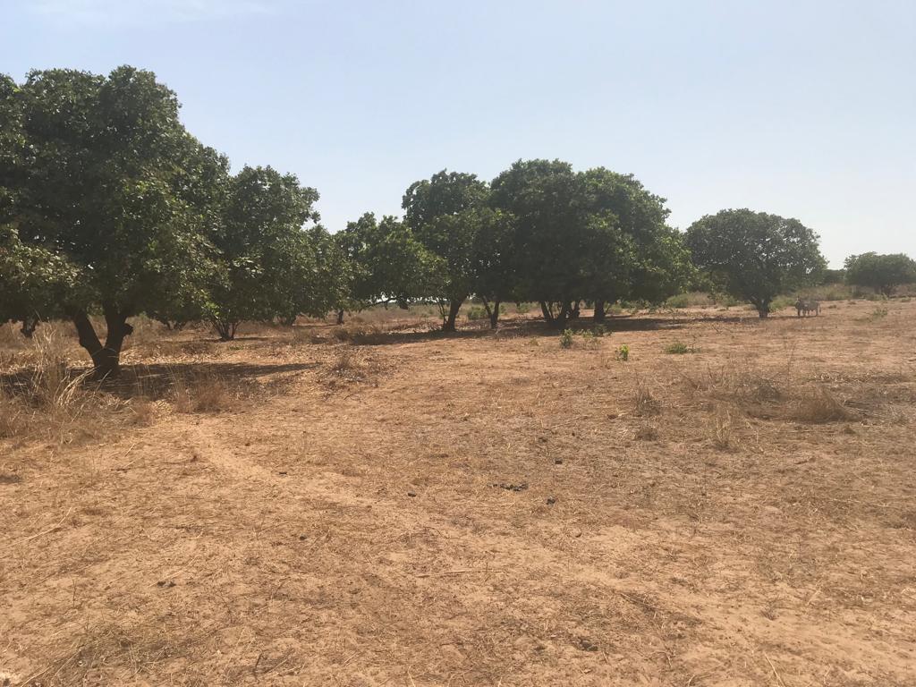 Terrain Agricole de 6625 m² à Foundiougne