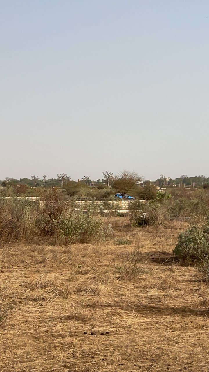 terrain de 500 metres carres a gandigal mbour