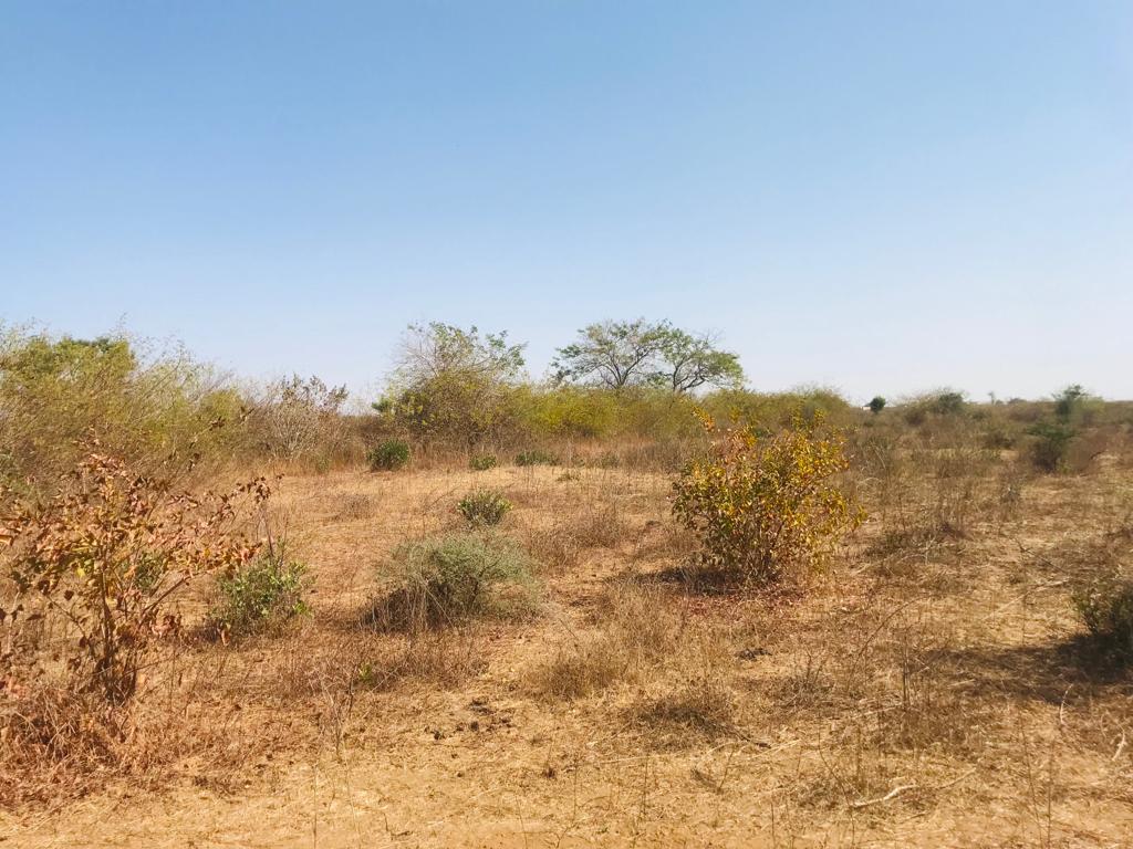 Terrain Agricole de 1,18 hectare à Keur Moussa