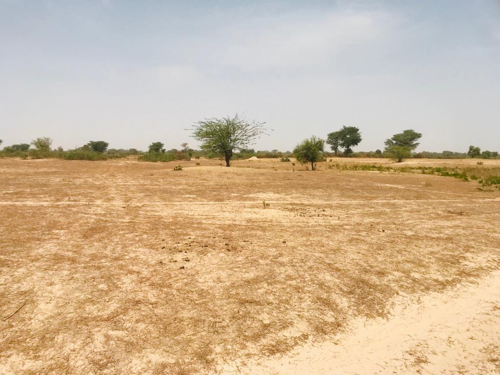 Terrain Agricole de 1,60 hectare à Fissel