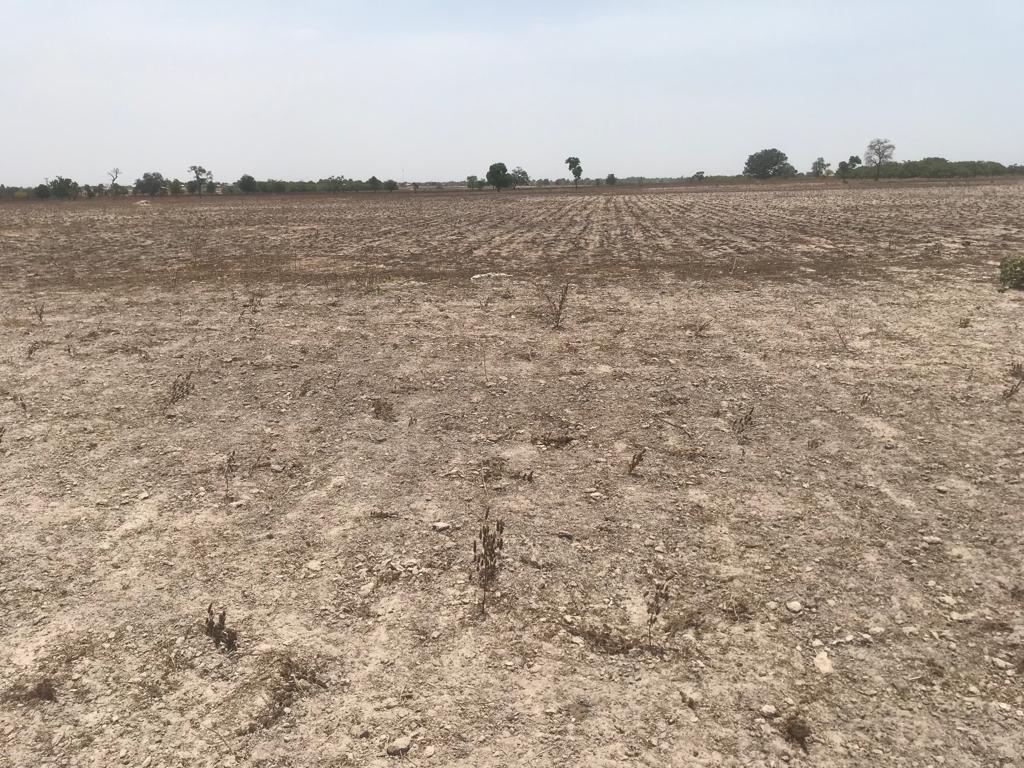 Terrain Agricole de 6625 m² à Foundiougne