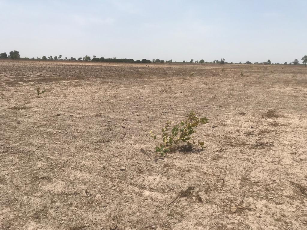 Terrain Agricole de 6625 m² à Foundiougne