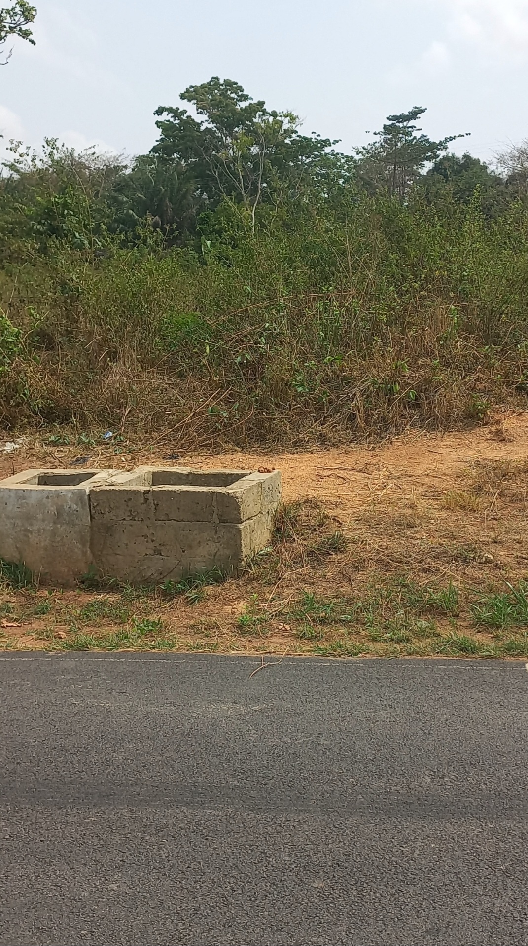 Un hectares de terrains en vente à yamoussoukro en bordure du goudron