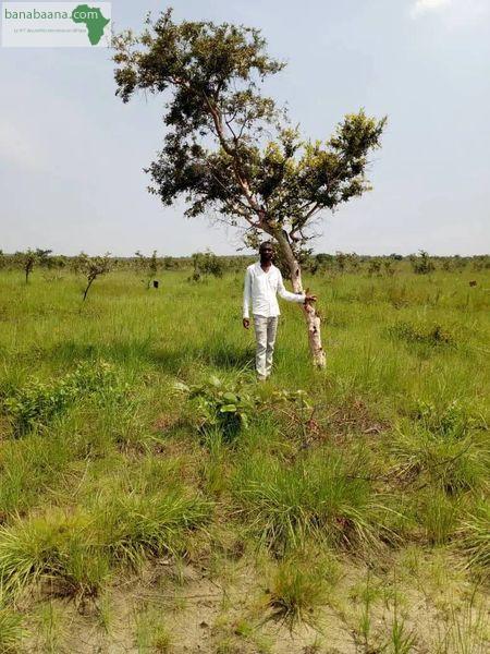 70 PARCELLES A VENDRE