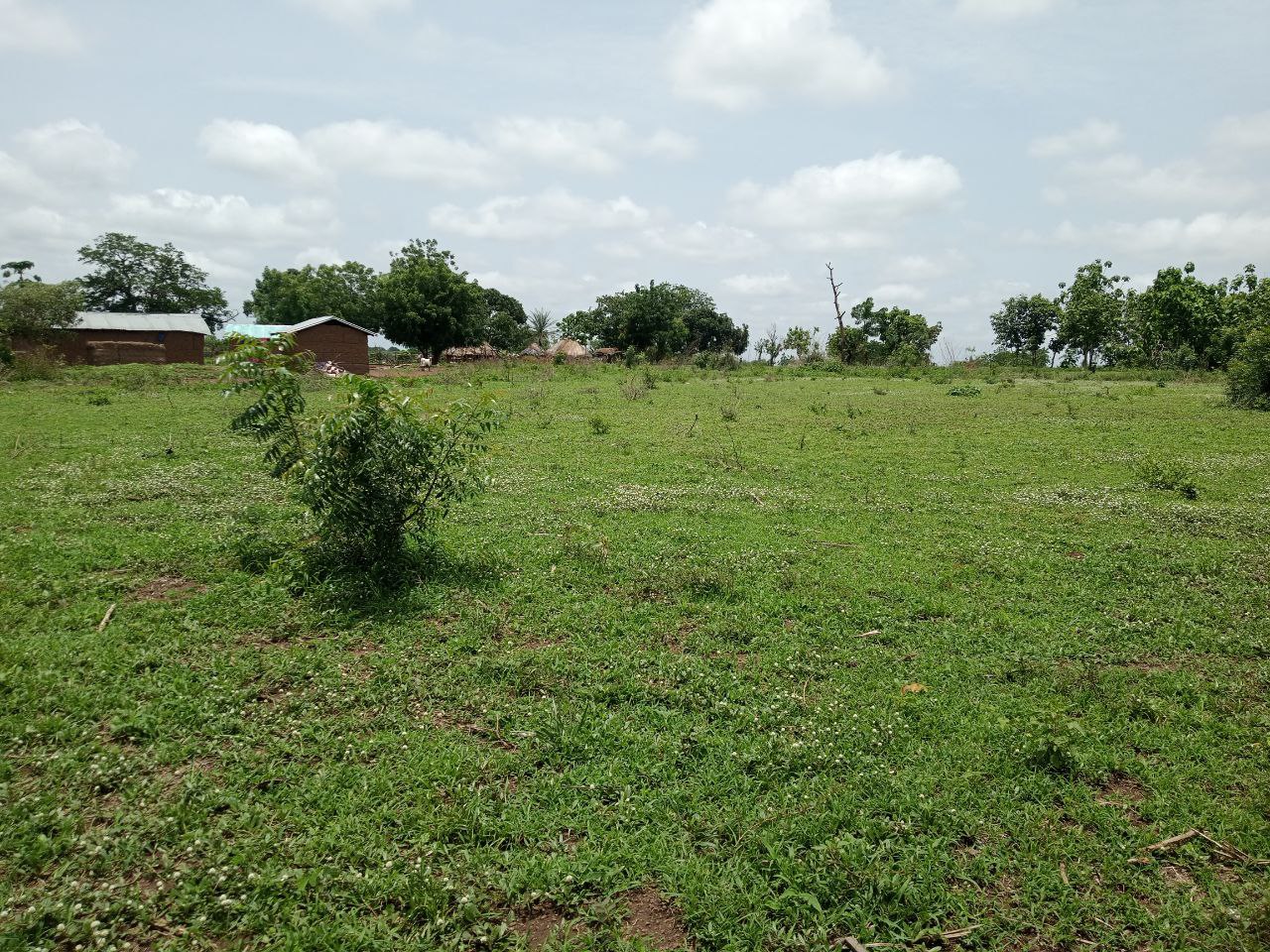 Au Bénin Djidja 50 hectares de domaines sont en vente à Djidja Monsourou dans le département de Zou