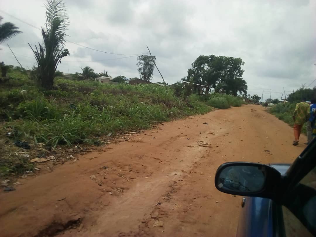 Djidja 50 hectares de domaines sont en vente à Djidja Monsourou, dans le département de Zou au Bénin