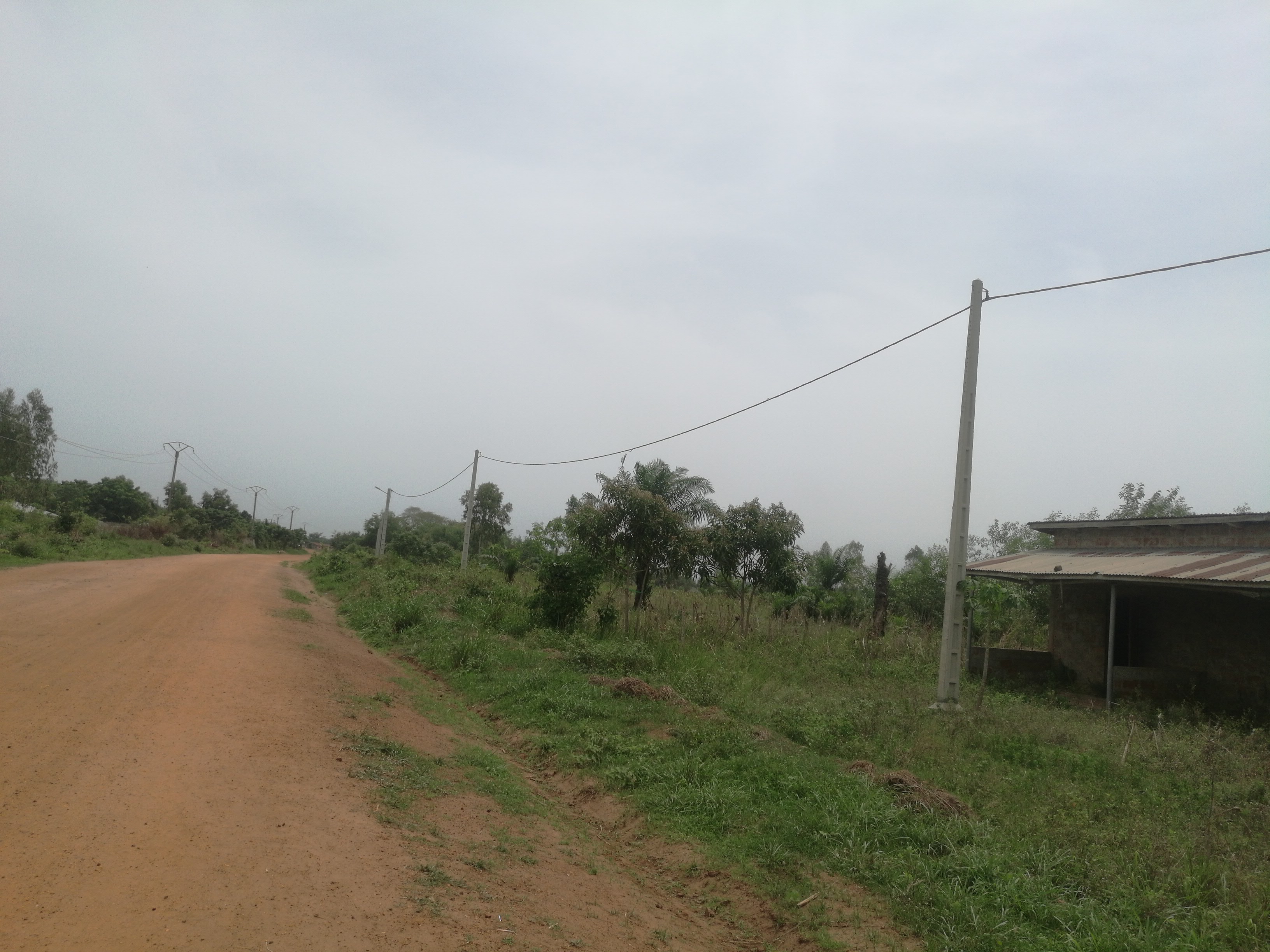 33 Hectares à vendre à COUFFONOU100 mètres des poteaux SBEE et de la grande voie menant vers ALLADA