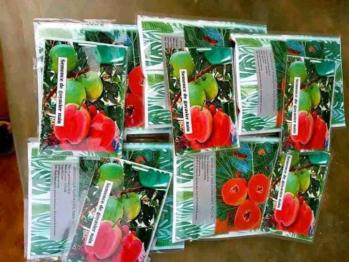 vente des semences fruitières naines vente des semences fruitières naines