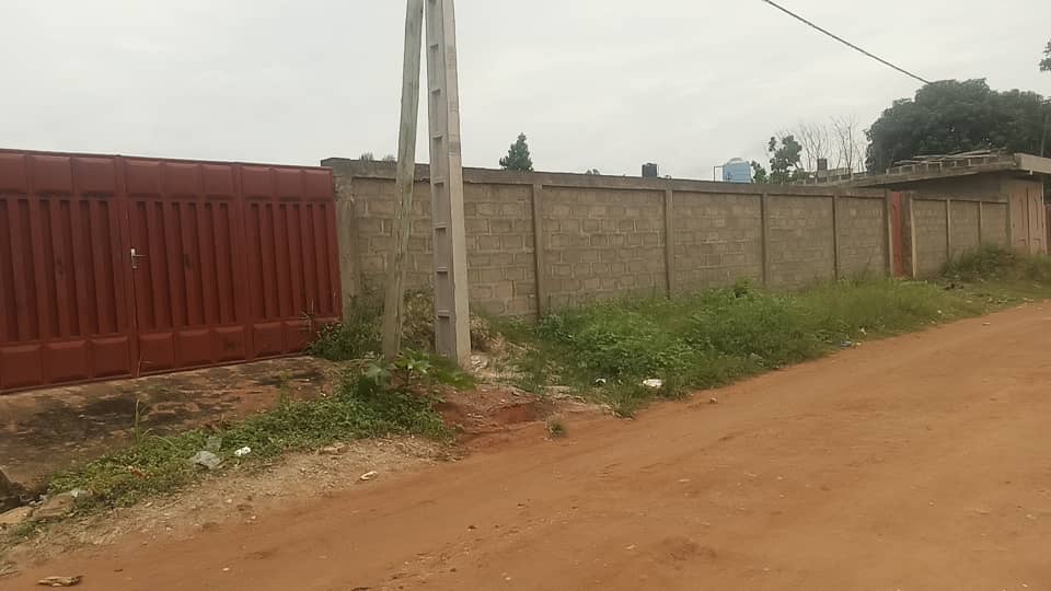 parcelle clôturée 540m2