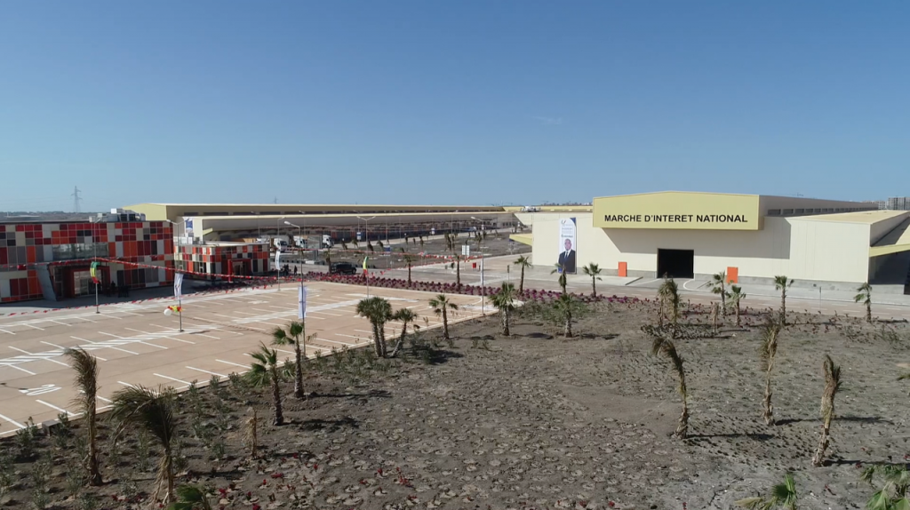 Terrains viabilisés à vendre à Diamniadio ville