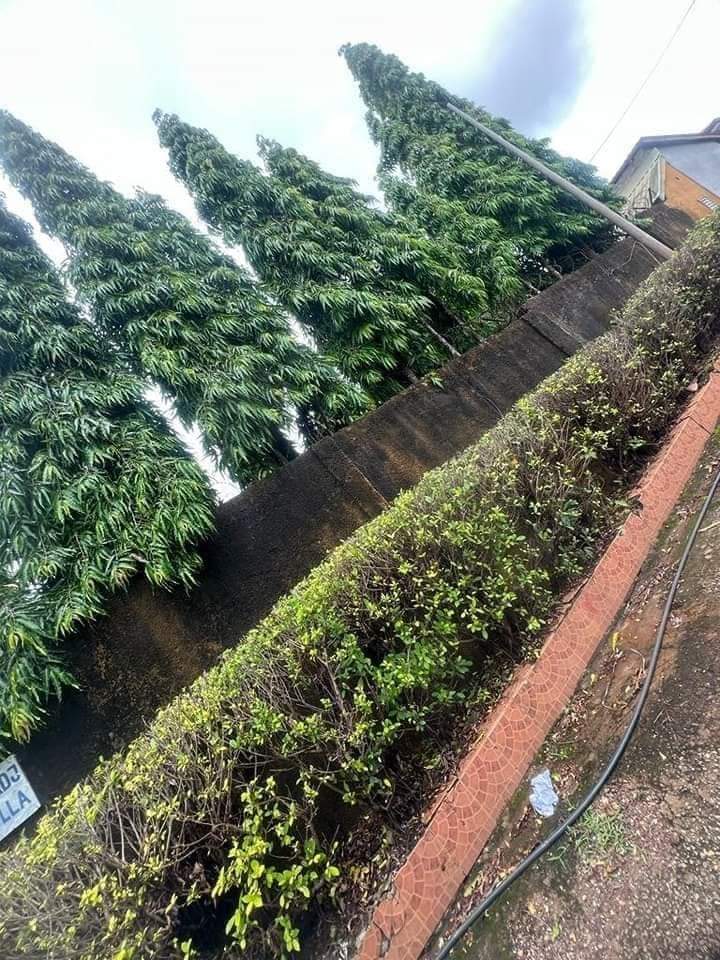 VILLA EN VENTE À LAMBANYI