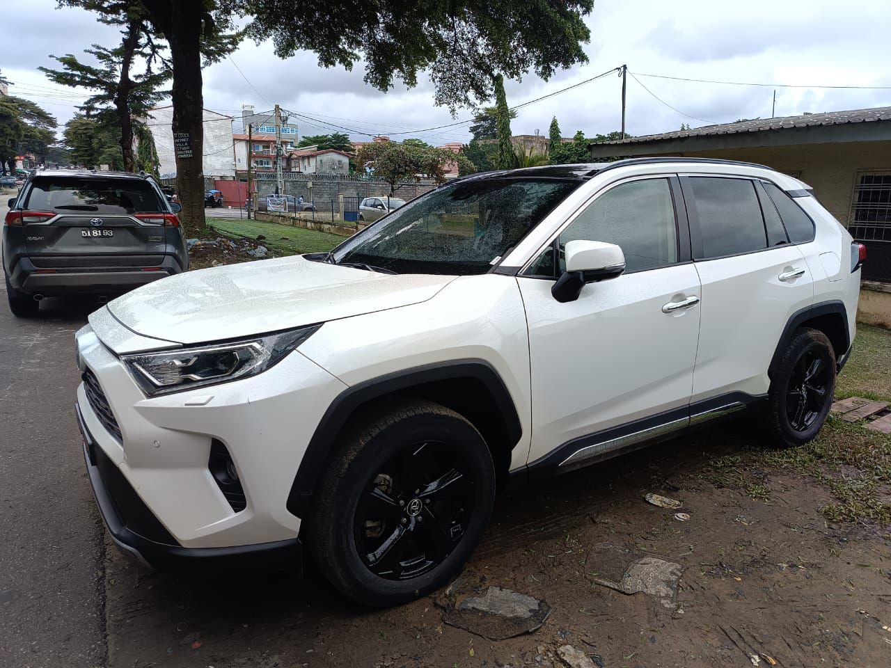 Toyota RAV4 hybride année 2020